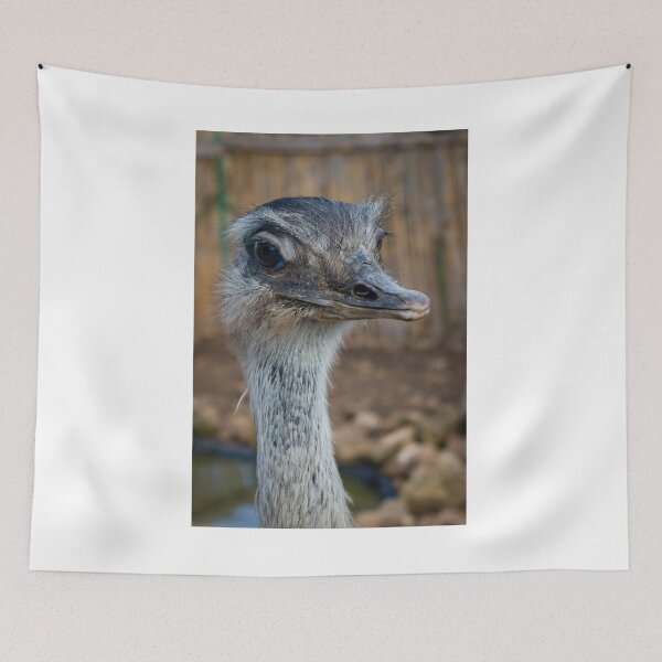 Item preview, Close-Up Portrait Of An Ostrich Head And Neck Showing Detailed Feathers And Expression designed and sold by Nmallia.
