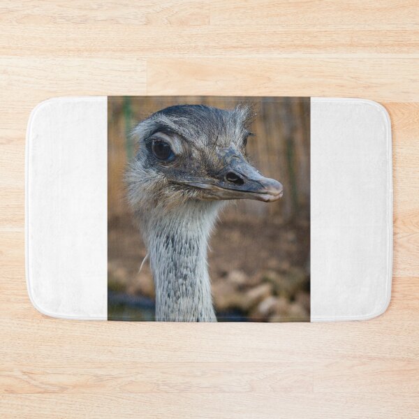 Item preview, Close-Up Portrait Of An Ostrich Head And Neck Showing Detailed Feathers And Expression designed and sold by Nmallia.
