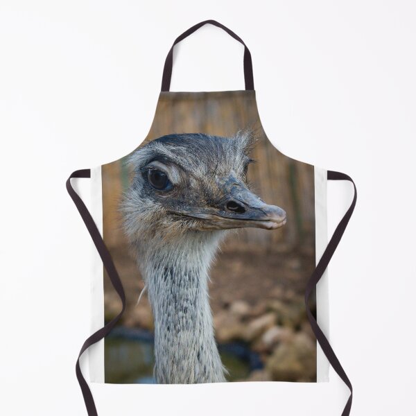 Item preview, Close-Up Portrait Of An Ostrich Head And Neck Showing Detailed Feathers And Expression designed and sold by Nmallia.