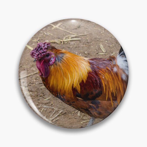 Item preview, Colorful Rooster Walking on Dirt Farmyard With Iridescent Tail Feathers and Bright Red Comb designed and sold by Nmallia.