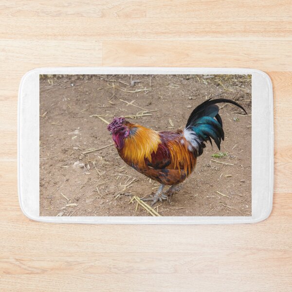 Item preview, Colorful Rooster Walking on Dirt Farmyard With Iridescent Tail Feathers and Bright Red Comb designed and sold by Nmallia.