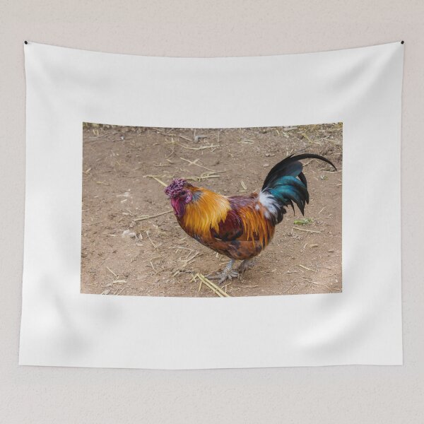 Item preview, Colorful Rooster Walking on Dirt Farmyard With Iridescent Tail Feathers and Bright Red Comb designed and sold by Nmallia.