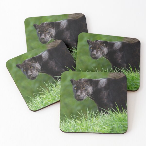 Item preview, Black Jaguar That Owns the Light designed and sold by rawshutterbug.