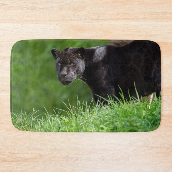 Item preview, Black Jaguar That Owns the Light designed and sold by rawshutterbug.