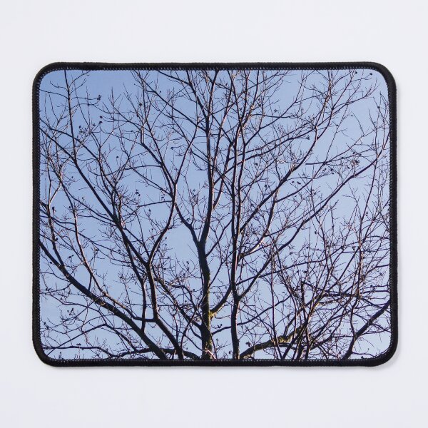 Item preview, Bare Winter Tree With Intricate Branches Against A Clear Blue Sky At Sunrise designed and sold by Nmallia.