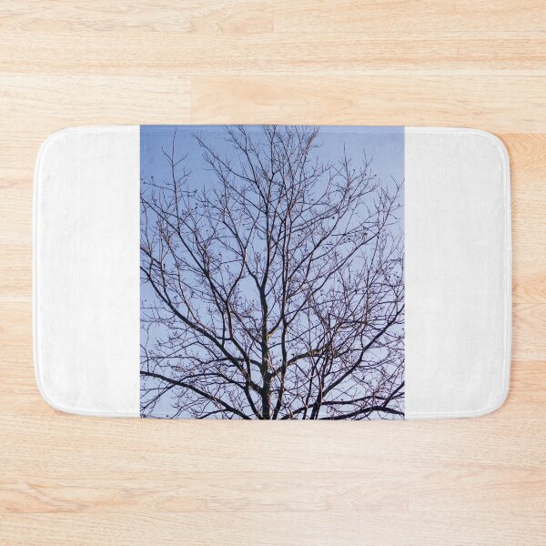 Item preview, Bare Winter Tree With Intricate Branches Against A Clear Blue Sky At Sunrise designed and sold by Nmallia.