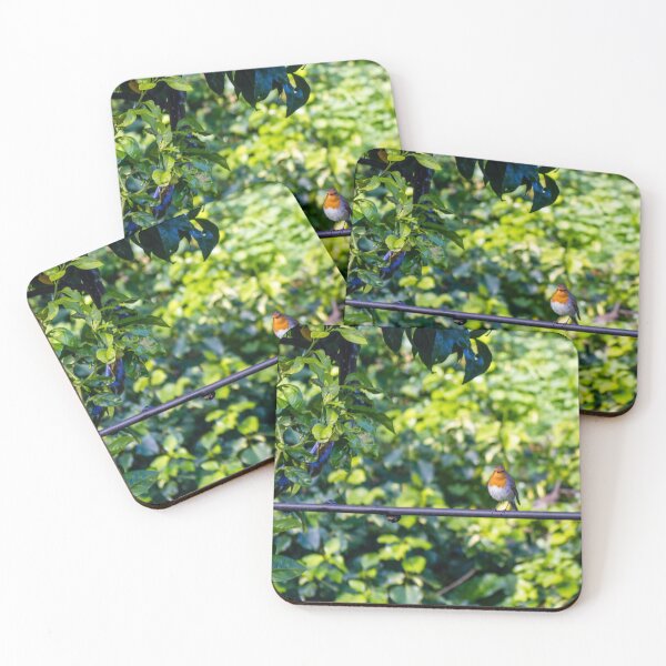 Item preview, European Robin Perched on Wire in Lush Green Garden Foliage, Close-Up Wildlife Portrait designed and sold by Nmallia.