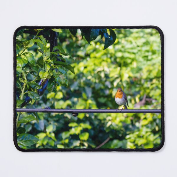 Item preview, European Robin Perched on Wire in Lush Green Garden Foliage, Close-Up Wildlife Portrait designed and sold by Nmallia.