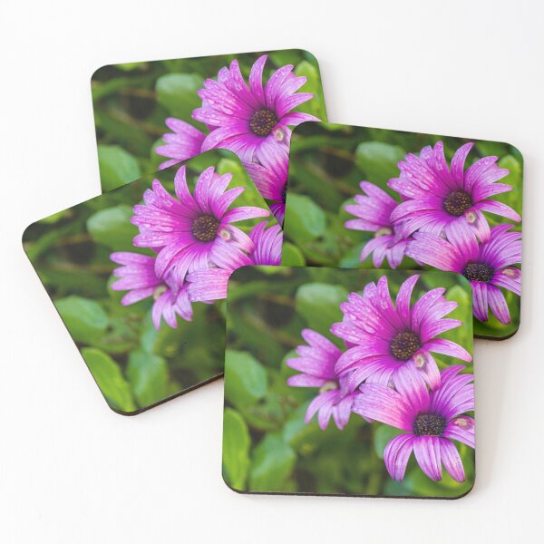 Item preview, Close-Up of Vibrant Purple African Daisies With Water Droplets in a Green Garden designed and sold by Nmallia.