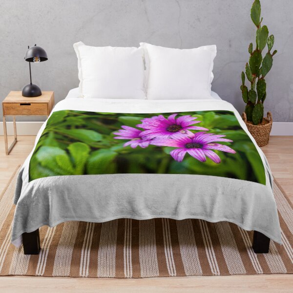 Item preview, Close-Up of Vibrant Purple African Daisies With Water Droplets in a Green Garden designed and sold by Nmallia.