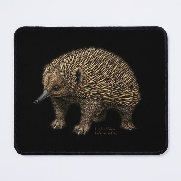 Item preview, The Unmovable Object: Vintage Short-Beaked Echidna Naturalist Art designed and sold by FreiherrPK.