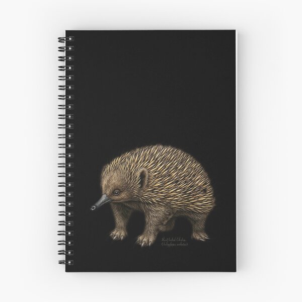 Item preview, The Unmovable Object: Vintage Short-Beaked Echidna Naturalist Art designed and sold by FreiherrPK.