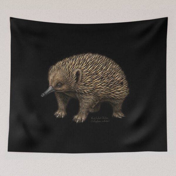 Item preview, The Unmovable Object: Vintage Short-Beaked Echidna Naturalist Art designed and sold by FreiherrPK.
