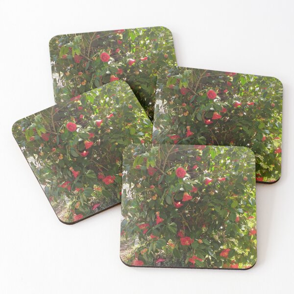 Item preview, Camellia in bloom designed and sold by MirelleHDB.