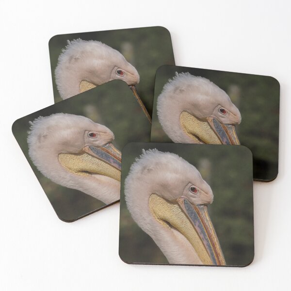 Item preview, White Pelican - Portrait in elegance designed and sold by MS.photo.