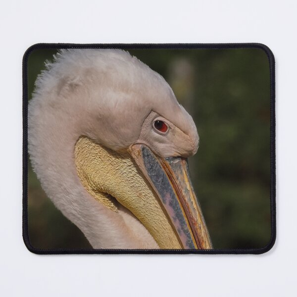 Item preview, White Pelican - Portrait in elegance designed and sold by MS.photo.