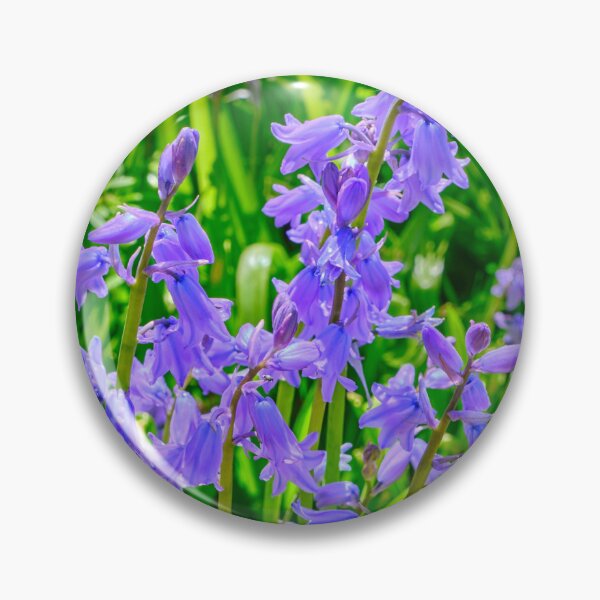 Item preview, Sunlit Bluebells in a Northumbrian Woodland designed and sold by Violaman.