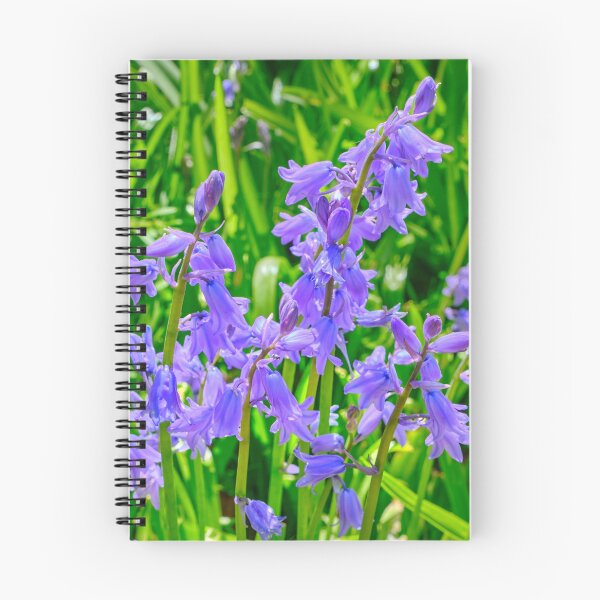 Item preview, Sunlit Bluebells in a Northumbrian Woodland designed and sold by Violaman.