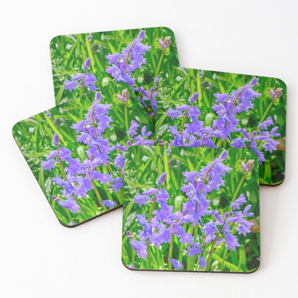 Item preview, Sunlit Bluebells in a Northumbrian Woodland designed and sold by Violaman.
