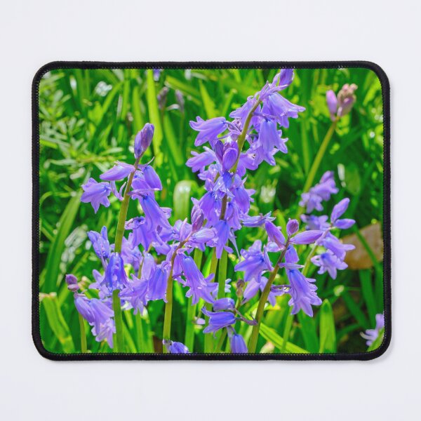 Item preview, Sunlit Bluebells in a Northumbrian Woodland designed and sold by Violaman.