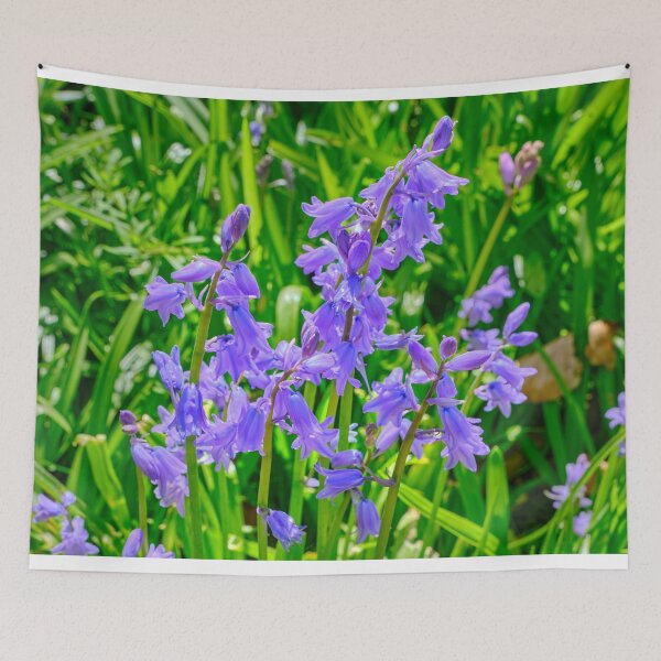 Item preview, Sunlit Bluebells in a Northumbrian Woodland designed and sold by Violaman.