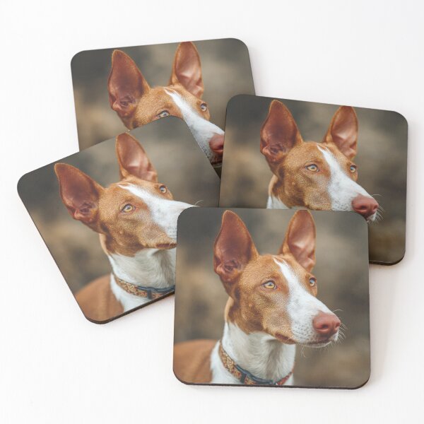 Item preview, Beautiful Ibizan Hound designed and sold by Elisabeth Lucas.