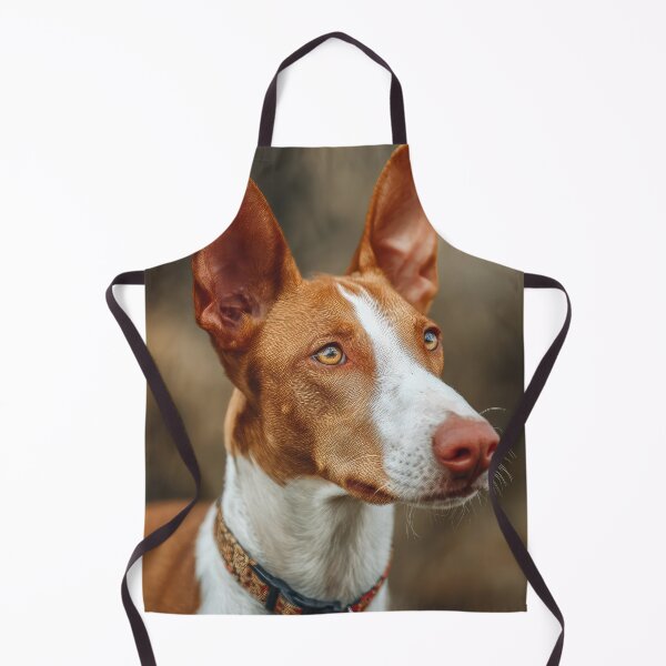 Item preview, Beautiful Ibizan Hound designed and sold by Elisabeth Lucas.