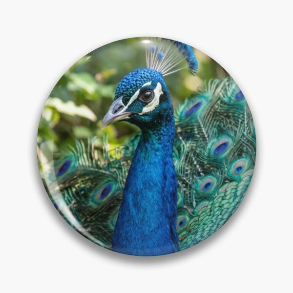 Item preview, Magnificent peacock designed and sold by Malisa345.