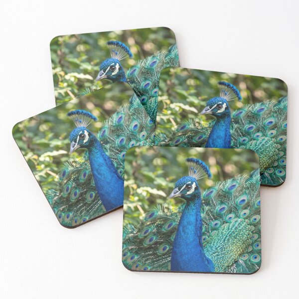 Item preview, Magnificent peacock designed and sold by Malisa345.