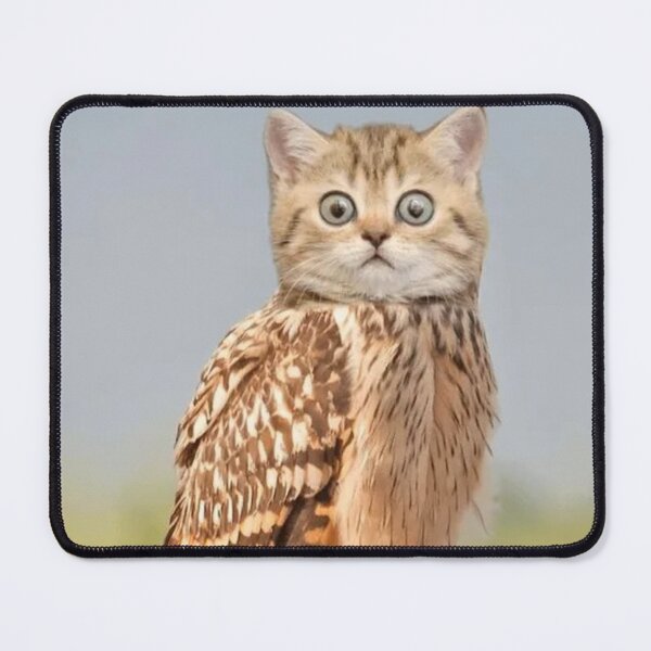Item preview, Owl Cat Bird Edit | Cute funny Animals & Nature designed and sold by Based History.