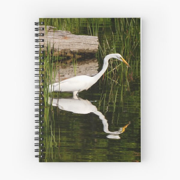 Item preview, White Morph Great Blue Heron designed and sold by The Watershed.
