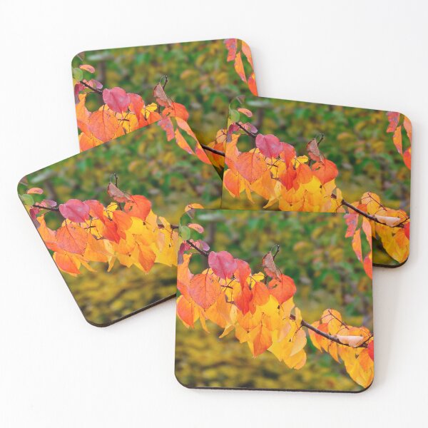 Item preview, Autumn Leaves Branch Yellow Orange Red Fall Colors Nature designed and sold by onubi.