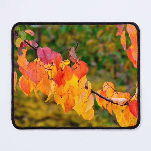 Item preview, Autumn Leaves Branch Yellow Orange Red Fall Colors Nature designed and sold by onubi.