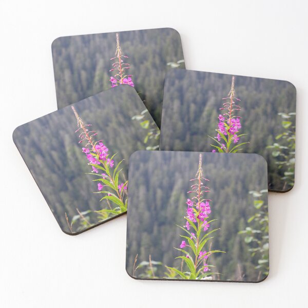 Item preview, A Forest's Secret designed and sold by NMX-Photo.