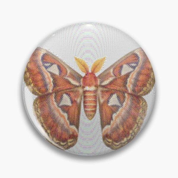 Item preview, Atlas Moth Lines designed and sold by florback.