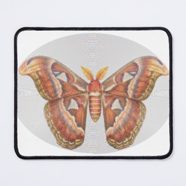 Item preview, Atlas Moth Lines designed and sold by florback.