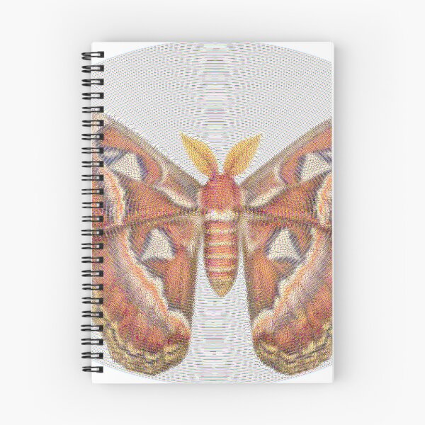 Item preview, Atlas Moth Lines designed and sold by florback.