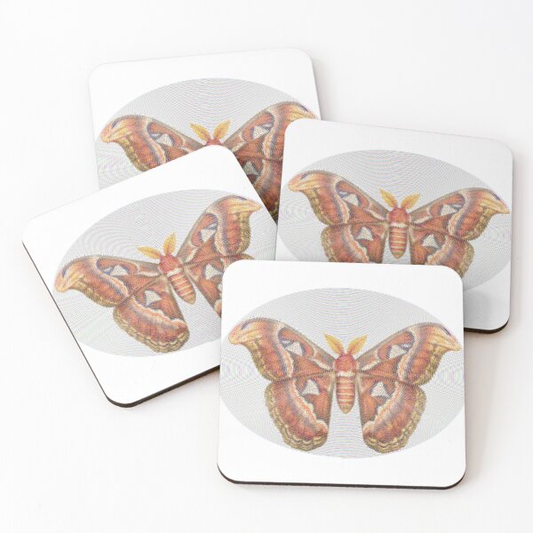 Item preview, Atlas Moth Lines designed and sold by florback.