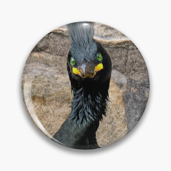 Item preview, The European Shag, designed and sold by Tom McPherson Photography.