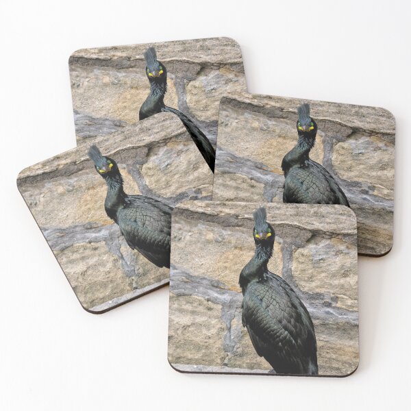 Item preview, The European Shag, designed and sold by Tom McPherson Photography.