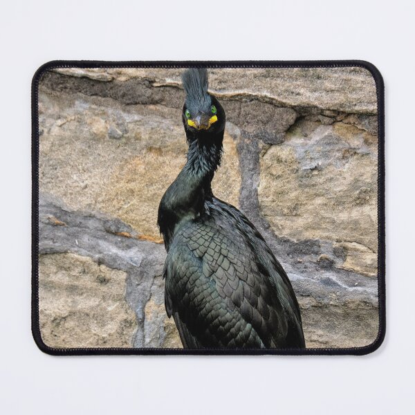 Item preview, The European Shag, designed and sold by Tom McPherson Photography.