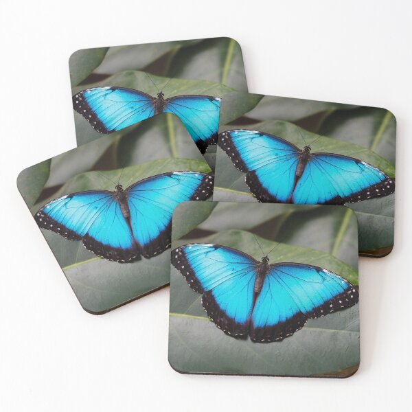 Item preview, Bright blue Morpho – Tropical butterfly with iridescent reflections designed and sold by MS.photo.