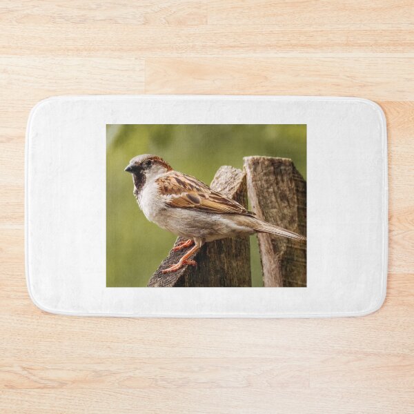 Item preview, House Sparrow designed and sold by MS.photo.
