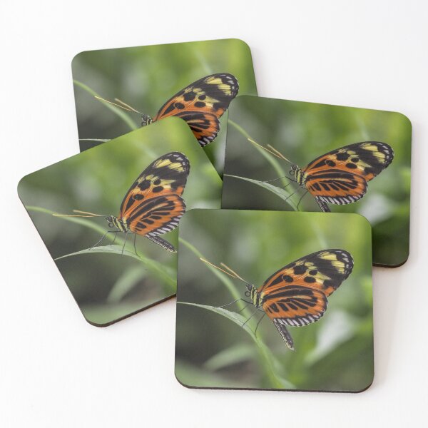 Item preview, Heliconius hecale designed and sold by MS.photo.