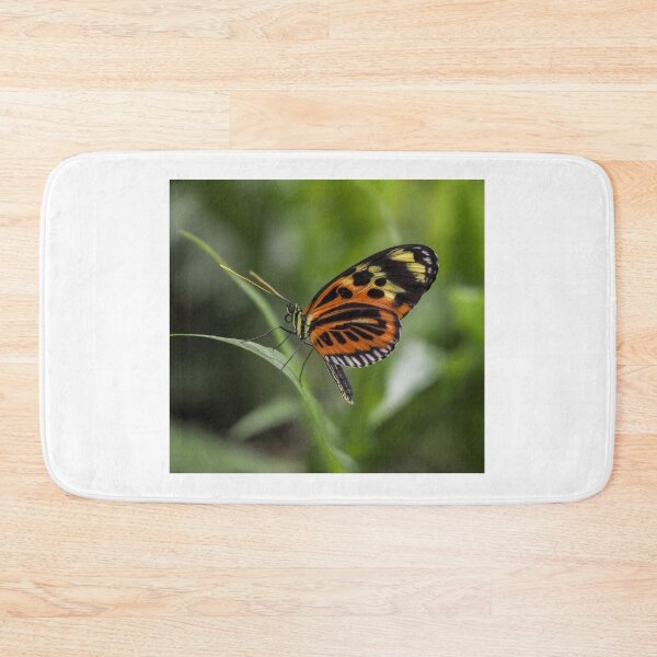 Item preview, Heliconius hecale designed and sold by MS.photo.