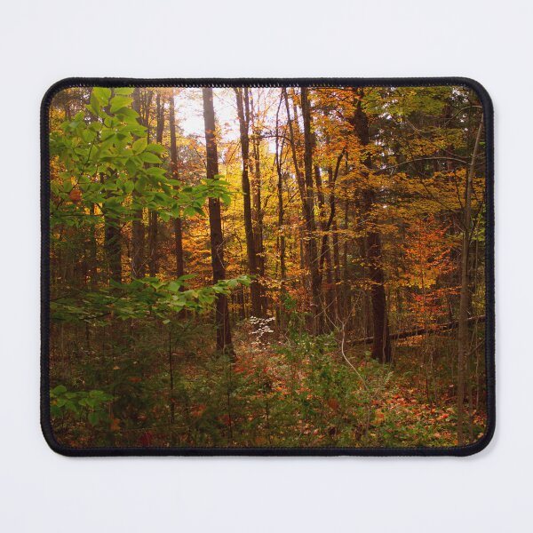 Item preview, Upstate New York Forest  designed and sold by HolyHellhound.