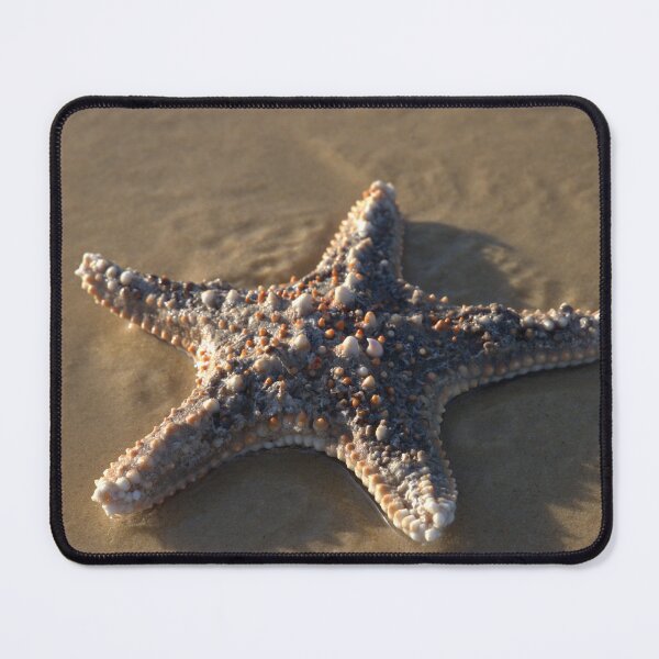 Item preview, Starfish on the beach designed and sold by FeralFlowerPrints.
