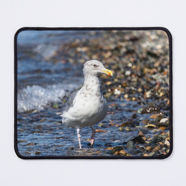 Item preview, Sea Gazer designed and sold by NMX-Photo.