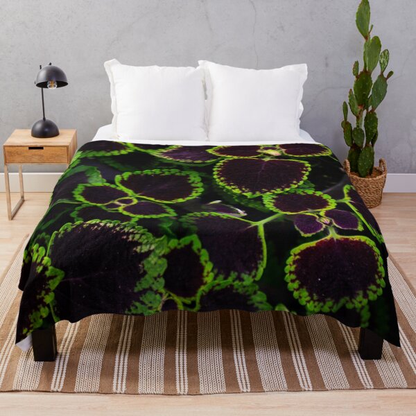 Item preview, Coleus Plant Purple Green Leaves Botanical Macro Photography designed and sold by MDCCo.