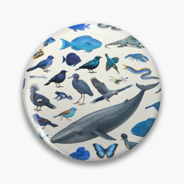 Item preview, Wild World in Blue Retro Wildlife Identification Chart designed and sold by kakarikihill.